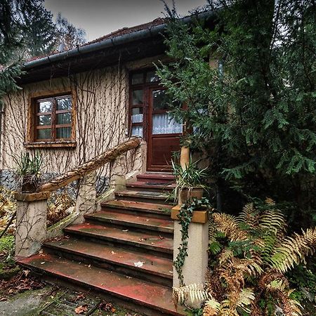 Boroka Apartmanhazak - Oereghaz Velem Ruang foto