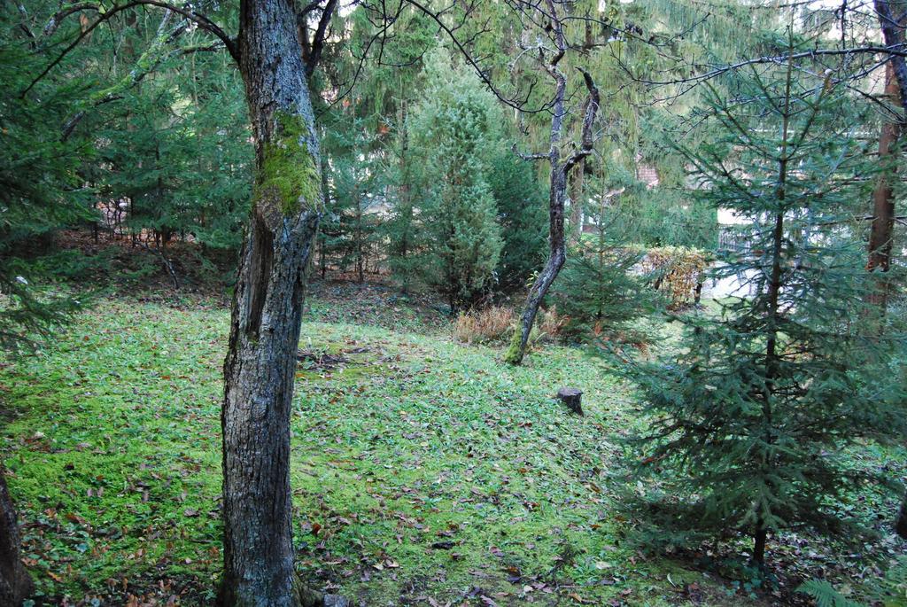 Boroka Apartmanhazak - Oereghaz Velem Ruang foto