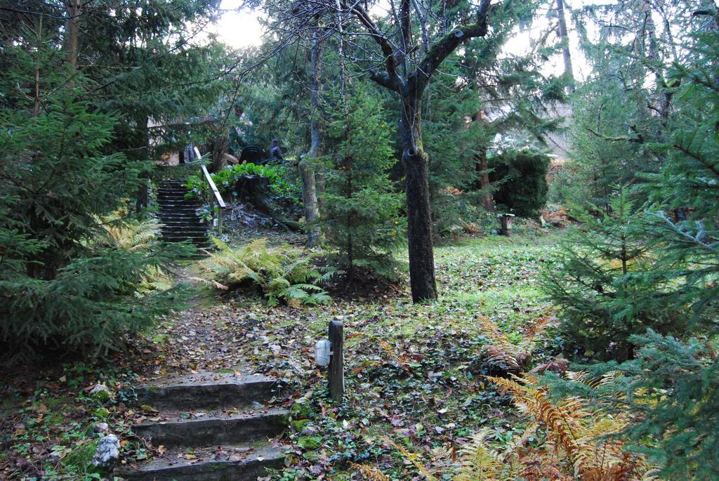 Boroka Apartmanhazak - Oereghaz Velem Ruang foto